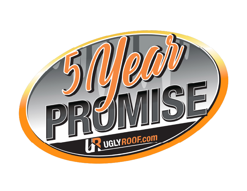 5 year promise