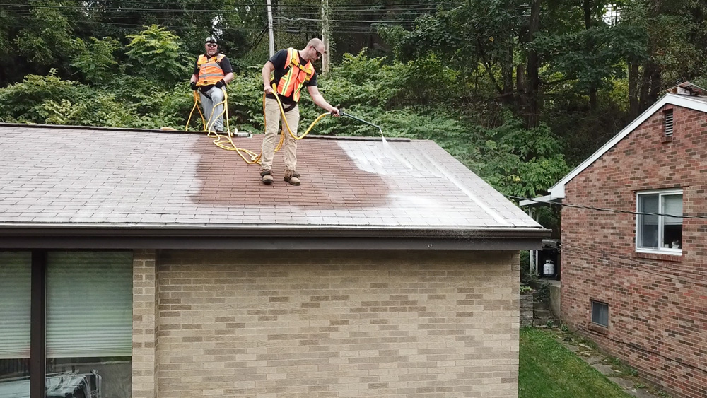 Green Life Rejuv - Working/Aplying On roof